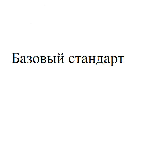 Базовый стандарт по управлению рисками